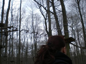 Hochseilgarten