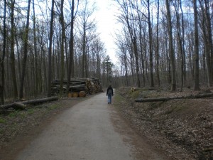 Rückweg